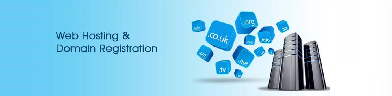 Domain & Web hosting